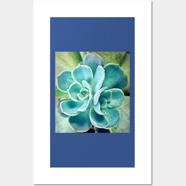 Blue Succulent Wall Art by RoxanneG